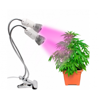 Wholesale 10W Dual Heads LED Plant Grow Lights for Small Plants with Desk Clip Indoor Using for Green House